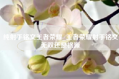 纯射手铭文王者荣耀_王者荣耀射手铭文无双还是祸源
