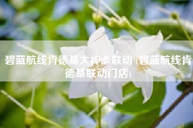 碧蓝航线肯德基大神卡联动 (碧蓝航线肯德基联动门店)