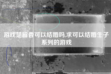游戏楚留香可以结婚吗,求可以结婚生子系列的游戏