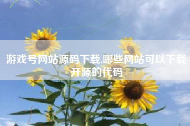 游戏号网站源码下载,哪些网站可以下载开源的代码