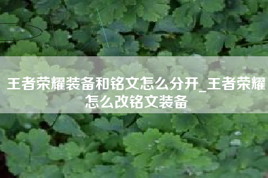王者荣耀装备和铭文怎么分开_王者荣耀怎么改铭文装备