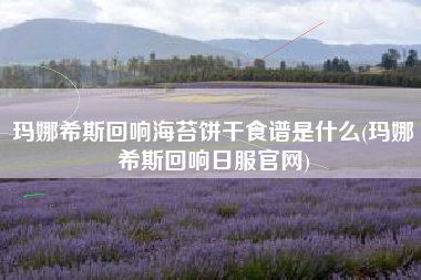玛娜希斯回响海苔饼干食谱是什么(玛娜希斯回响日服官网)