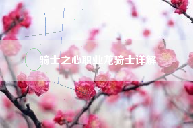 骑士之心职业龙骑士详解