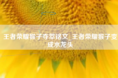 王者荣耀猴子夺萃铭文_王者荣耀猴子变成水龙头