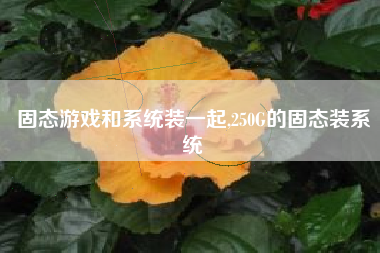 固态游戏和系统装一起,250G的固态装系统