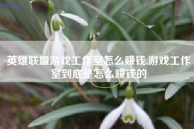 英雄联盟游戏工作室怎么赚钱,游戏工作室到底是怎么赚钱的