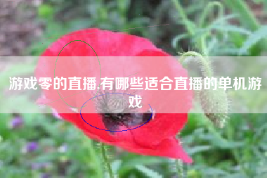 游戏零的直播,有哪些适合直播的单机游戏