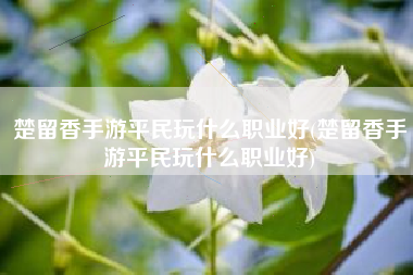 楚留香手游平民玩什么职业好(楚留香手游平民玩什么职业好)