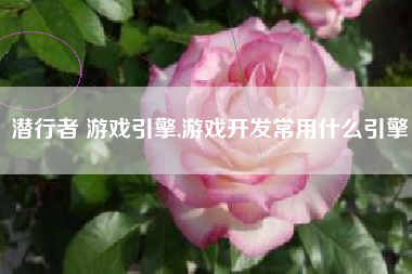 潜行者 游戏引擎,游戏开发常用什么引擎
