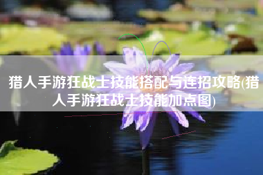 猎人手游狂战士技能搭配与连招攻略(猎人手游狂战士技能加点图)