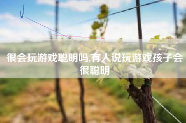 很会玩游戏聪明吗,有人说玩游戏孩子会很聪明
