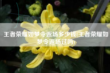 王者荣耀如梦令返场多少钱(王者荣耀如梦令返场过吗)