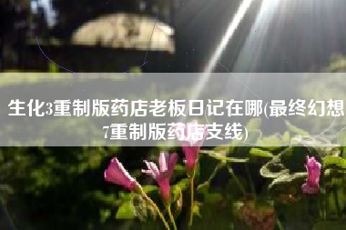 生化3重制版药店老板日记在哪(最终幻想7重制版药店支线)