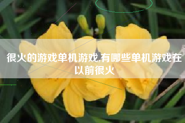 很火的游戏单机游戏,有哪些单机游戏在以前很火