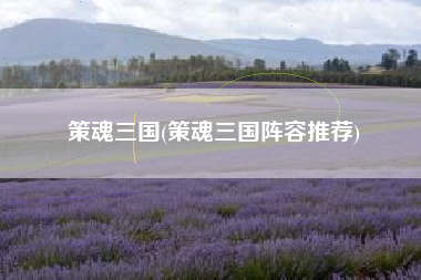 策魂三国(策魂三国阵容推荐)