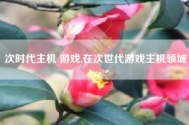 次时代主机 游戏,在次世代游戏主机领域