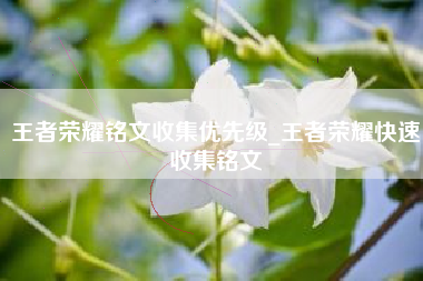 王者荣耀铭文收集优先级_王者荣耀快速收集铭文