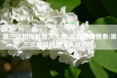 第三次超级机器人大战a攻略隐藏要素(第三次超级机器人大战路线)