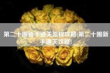 第二十圈新手通关流程攻略(第二十圈新手通关攻略)