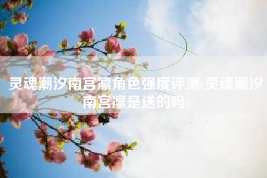 灵魂潮汐南宫凛角色强度评测(灵魂潮汐南宫凛是送的吗)