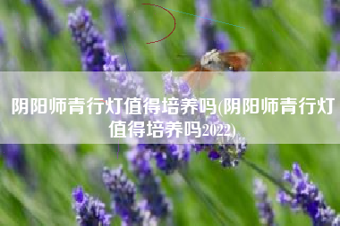 阴阳师青行灯值得培养吗(阴阳师青行灯值得培养吗2022)