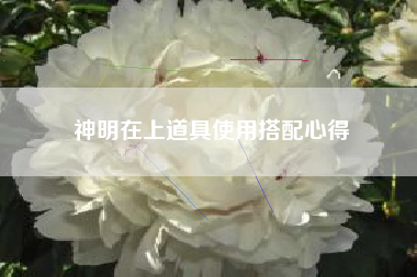 神明在上道具使用搭配心得