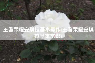 王者荣耀安琪拉基本操作(王者荣耀安琪拉基本常识)