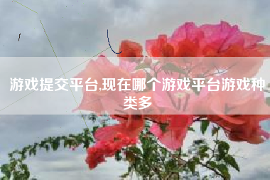 游戏提交平台,现在哪个游戏平台游戏种类多