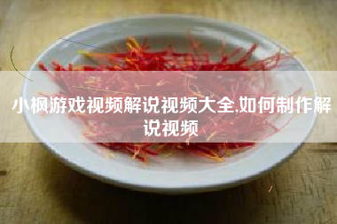 小枫游戏视频解说视频大全,如何制作解说视频
