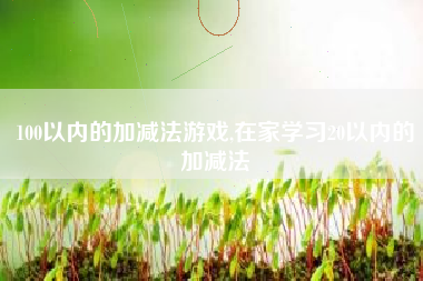 100以内的加减法游戏,在家学习20以内的加减法
