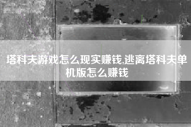 塔科夫游戏怎么现实赚钱,逃离塔科夫单机版怎么赚钱