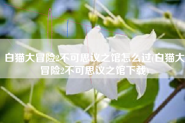 白猫大冒险2不可思议之馆怎么过(白猫大冒险2不可思议之馆下载)