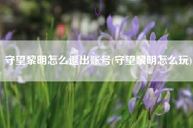 守望黎明怎么退出账号(守望黎明怎么玩)