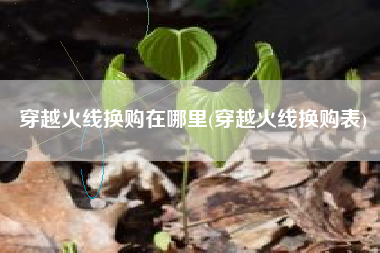 穿越火线换购在哪里(穿越火线换购表)