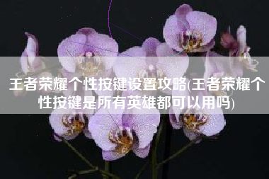 王者荣耀个性按键设置攻略(王者荣耀个性按键是所有英雄都可以用吗)