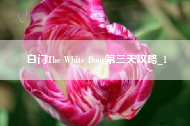 白门The White Door第三天攻略_1