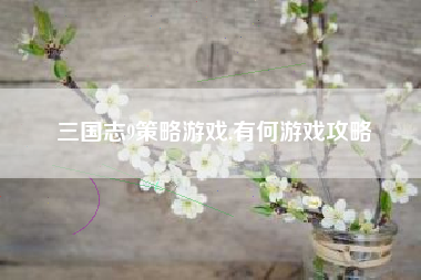三国志9策略游戏,有何游戏攻略