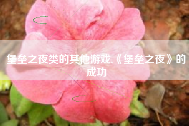 堡垒之夜类的其他游戏,《堡垒之夜》的成功