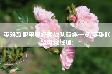 英雄联盟电竞经理战队羁绊一览(英雄联盟电竞经理)