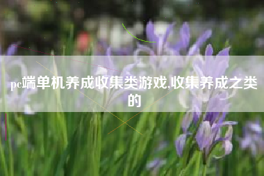 pc端单机养成收集类游戏,收集养成之类的