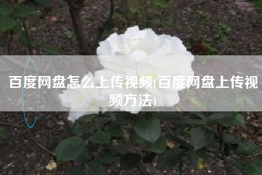 百度网盘怎么上传视频(百度网盘上传视频方法)