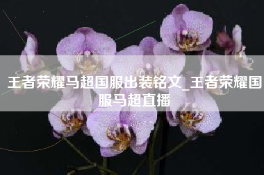王者荣耀马超国服出装铭文_王者荣耀国服马超直播