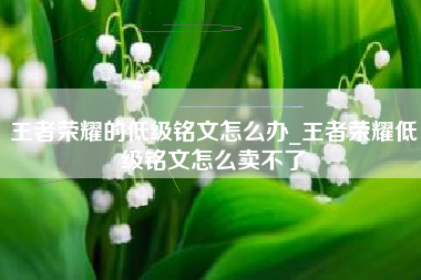王者荣耀的低级铭文怎么办_王者荣耀低级铭文怎么卖不了
