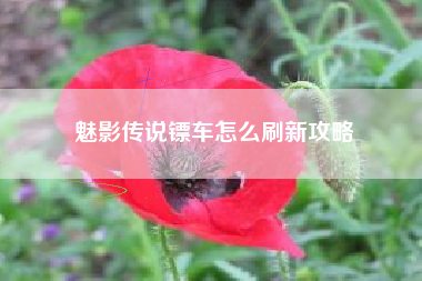 魅影传说镖车怎么刷新攻略