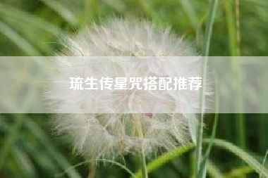 琉生传星咒搭配推荐