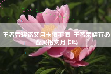 王者荣耀铭文月卡值不值_王者荣耀有必要买铭文月卡吗