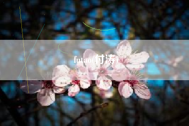 futao(付涛)