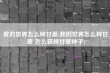 我的世界怎么种甘蔗(我的世界怎么种甘蔗 怎么获得甘蔗种子)