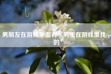 男朋友在游戏里面有cp,男生在游戏里找cp的