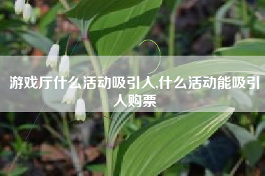 游戏厅什么活动吸引人,什么活动能吸引人购票